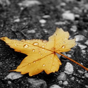 黑人狂艹女生逼
